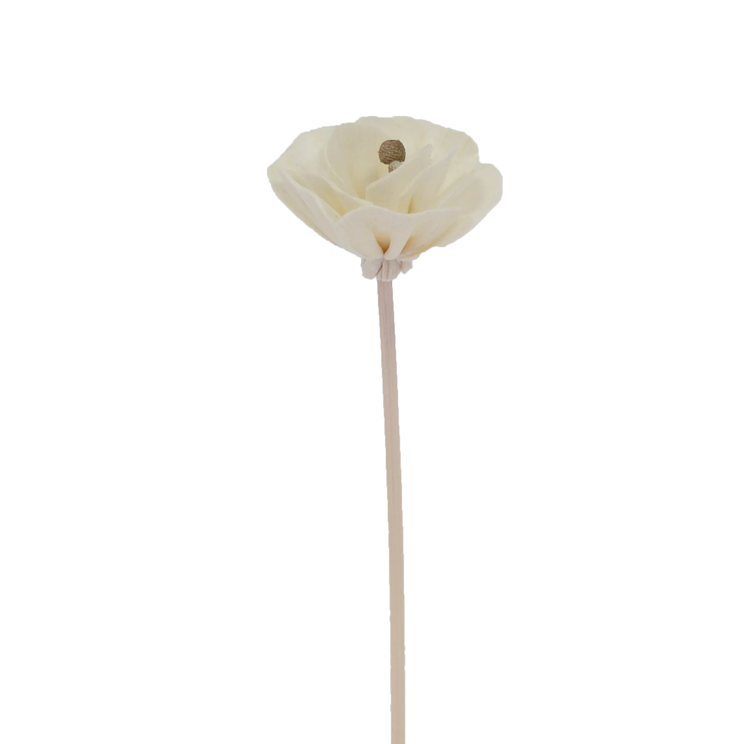 Fleur Pivoine de chine - Bâtonnet diffuseur en rotin
