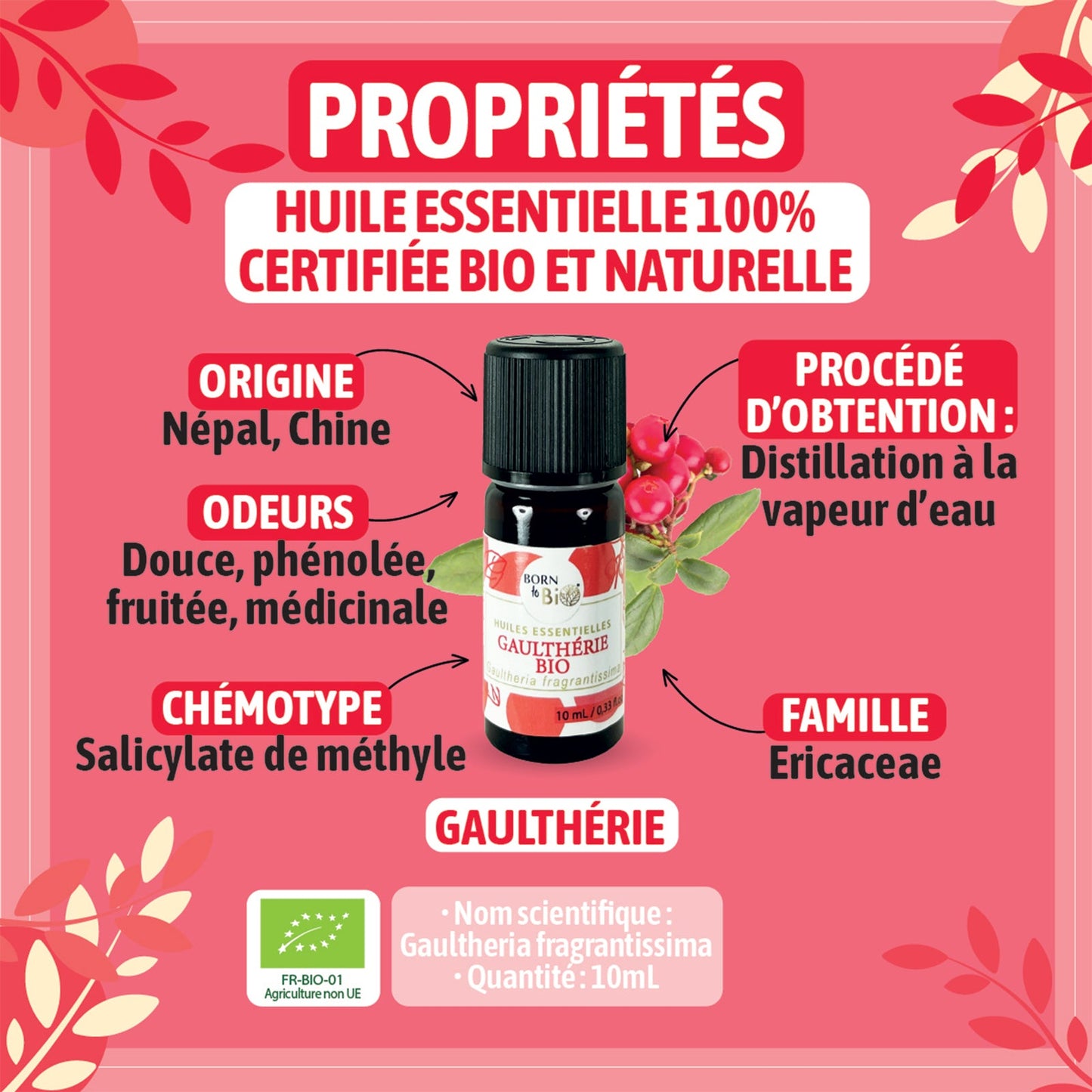 Huile essentielle Gaulthérie Certifiée Bio