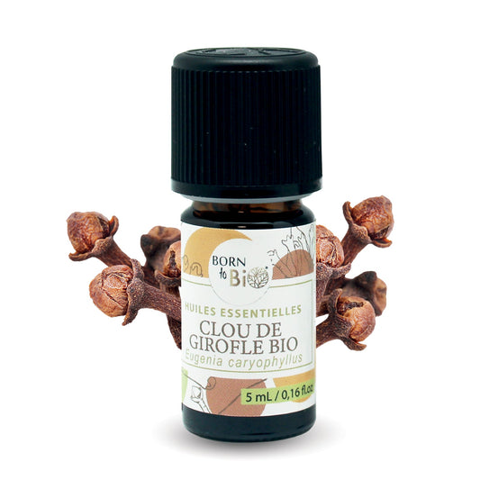 Huile essentielle Clou de Girofle Certifiée Bio