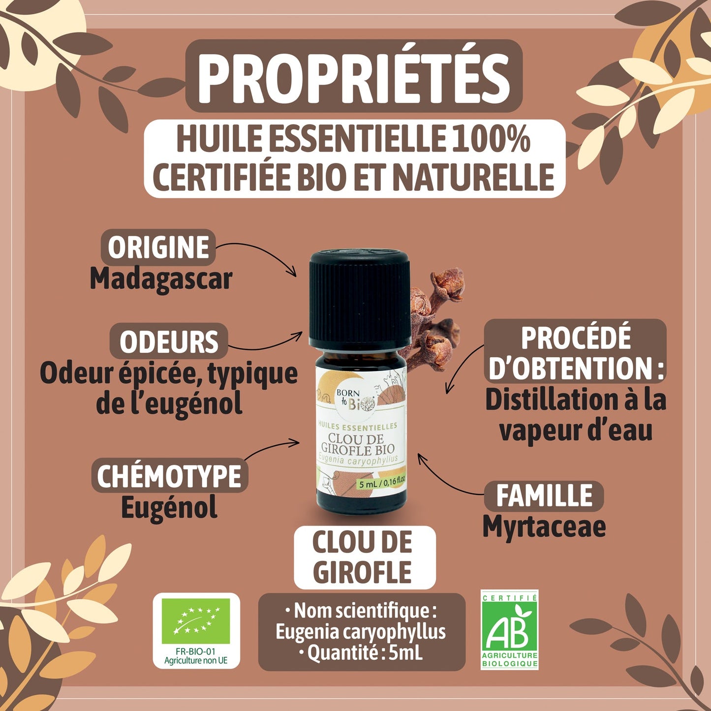 Huile essentielle Clou de Girofle Certifiée Bio